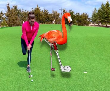 How acting like a Flamingo can improve your putting