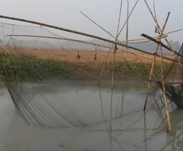 MAGIC BAMBOO FISHING TRAP IN BANGLADESH CATCH FISH INTO WATER