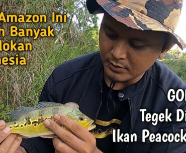 NGERI...😱 Dapat Ikan Aneh Saat Gagal Mancing Ikan Baung Disungai