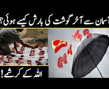 Unbelievable Kentucky Meat Shower Explained In Urdu/Hindi | 7 Unusual Rains In The World | Hamza Tv