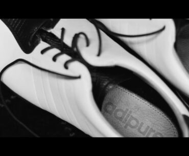 adiPure: Details