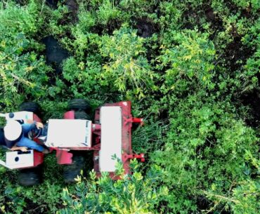 Hawaii's Extreme Terrain Requires Flex Frame Ventrac Tractor for Brush Mowing