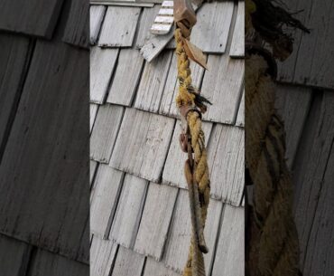 The truth about your Cedar roof.  Do spiked shoes damage your roof?