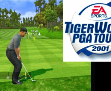 Tiger Woods PGA Tour 2001 ... (PS2)