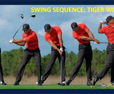 Tiger Woods "NEW" Driver Swing Sequence-DTL&FO Super Slow Motion