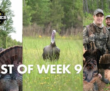 Best of Realtree Spring Thunder Week 8 | Vocal Toms and Charging Gobblers