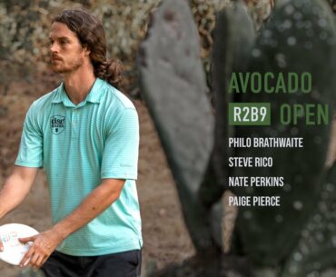 Avocado Open R2 B9