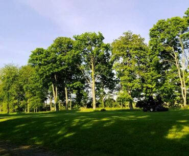 Cutting Tee's at Bury St Edmunds Golf Club