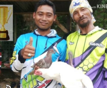 PUTTER THE LEGEND OF SKY JUARA AYAM PUTIH CUP