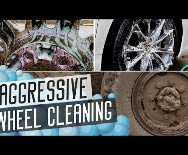 HEAVY Brake Dust Removal & A Hugely Profitable Add On For Detailing Businesses!