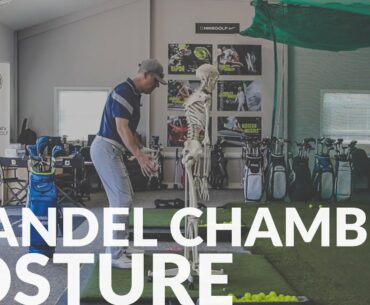 BRANDEL CHAMBLEE POSTURE - Shawn Clement - Wisdom in Golf