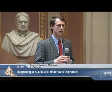 Senate Pushes for Opening of Minnesota Businesses