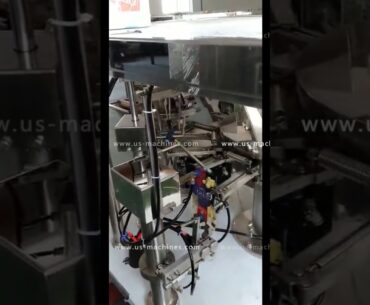 Autoamtic stand up premade bag rotary filling packing machine