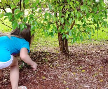 Lily and Layla retrieve golf ball.