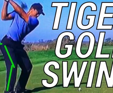 Tiger Woods Swing Evaluation | Tiger Woods Golf Swing