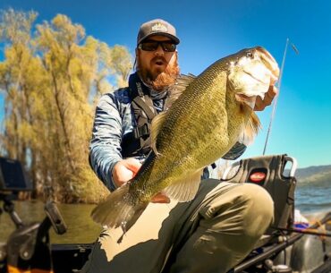 Senko and Underspin Tips For Big Bass! Kayak Bass Fishing on Clearlake