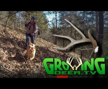 Shed Hunting Tips | Whitetail Habitat Improvements In Kansas (#427) @GrowingDeer.tv