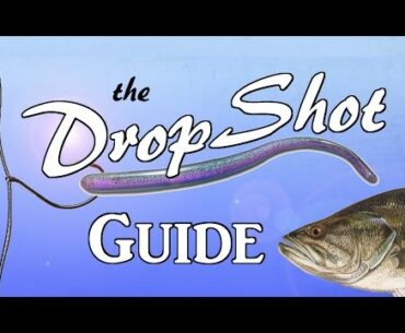 DROPSHOT Guide - The Most Effective Rig in Bass Fishing