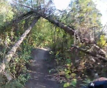 Edmonton's worst cyclist rides Riverside golf course to Forest Height park