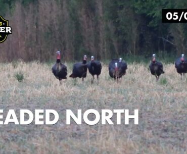 Turkey Lands in Range | Tyler Farr Turkey Hunting | Realtree Spring Thunder