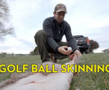 Skinning a Deer with a Golf Ball and an Amarok