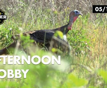 Chasing Henned-Up Gobblers? Hunt Them in the Afternoon | Realtree Spring Thunder