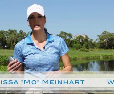 Worx Wedges Testimonial from Melissa Meinhart