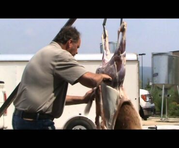 Deer skinning: quick and easy with Rick Fetrow