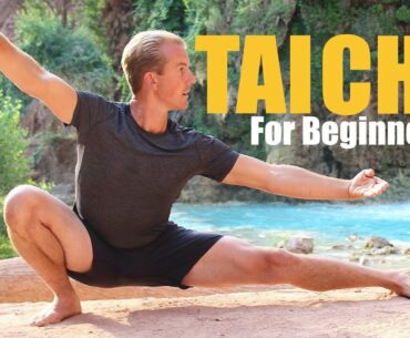 10 Tai Chi Moves for Beginners - 14 Minute Daily Taiji Routine