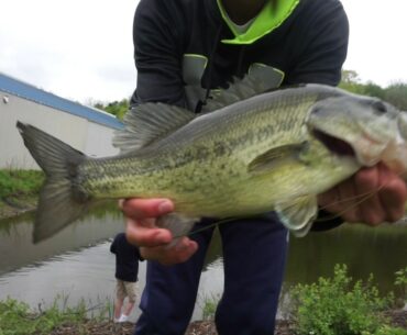 CRUSHING BIG PRE-SPAWN BASS in golf course ponds!!!!!!!!