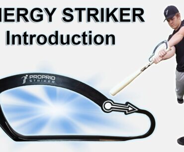 Energy Striker - Introduction - Posture Energy