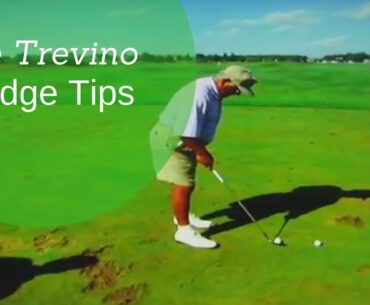 Lee Trevino GREATEST Wedge Play Tips