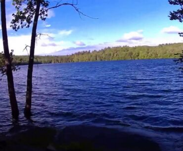 Ledges, Wilmington VT June 2017