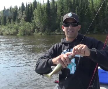 Leeches for Walleye Fishing