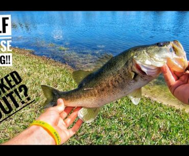 Bass Fishing a Golf Course with Concept Z for BIG BASS!! -- *SNEAKING IN*