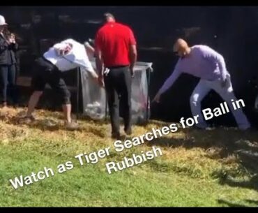 Watch Tiger Woods Look for his Ball in a Rubbish Bag - Golf Rules