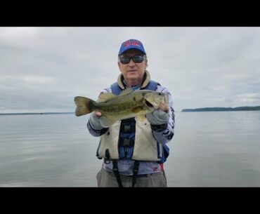 Yamamoto 6 Inch Senko - Secrets & Tactics (Potomac Spawn Bass Fishing)