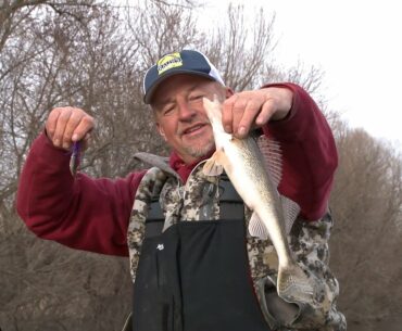 Rock River Saugers and Walleyes - Walleye Fishing Techniques