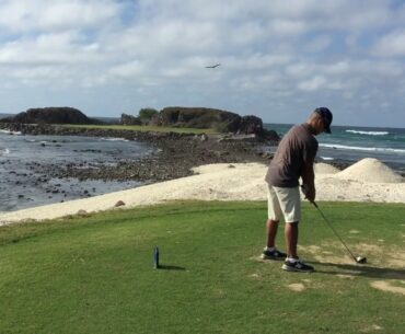 A most unlikely "birdie": bird hit in mid-flight with golf ball