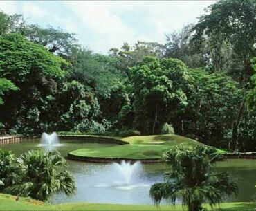 Jungle Scenery for Royal Hawaiian Golf Club, Oahu, Hawaii