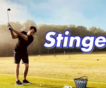 Hitting Stingers | Golden Sunlight Driving Range Session