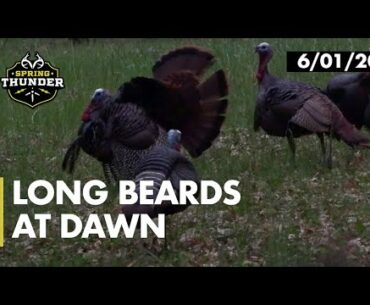 Longbeards at Dawn | Filled Turkey Tags at Flydown | Realtree Spring Thunder