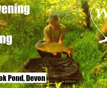 An Evening Carp Fishing in the Margins