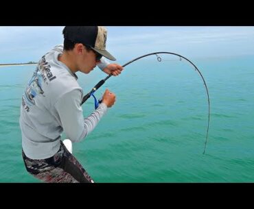 Light Tackle JETTY GIANTS