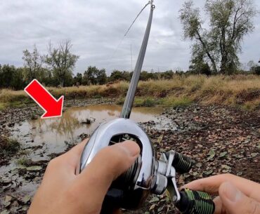 MONSTER FISH CAUGHT FROM TINY PUDDLE??? (Fishing an ABANDONED Golf Course - Part 2)