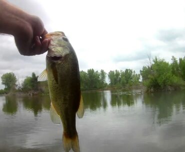 Bass Fishing New Ponds