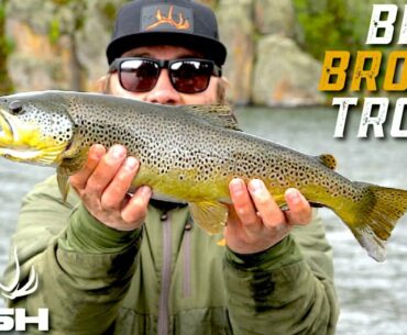 STREAMER FISHING FOR BIG BROWN TROUT!
