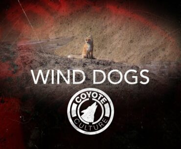 Coyote Hunting, 2 Coyotes: CC Season 4 E15 "Wind Dogs"