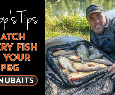 SHIPP'S TIPS - Episode 2 - Catch Every Fish In Your Peg!