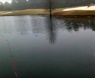 Extreme Golf Course Bassin'